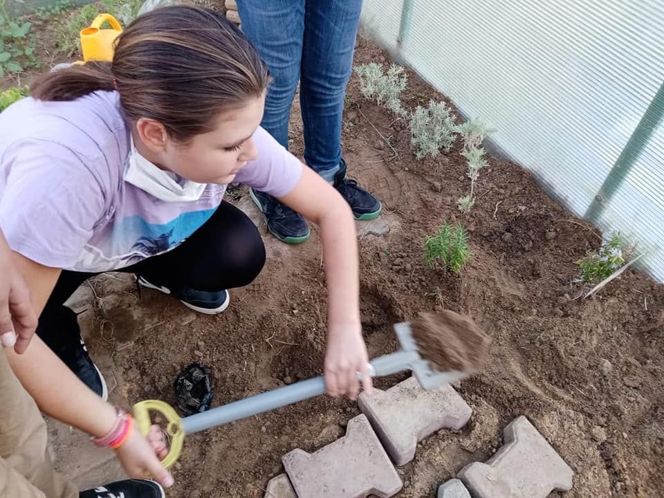 International Maarif School of Tunisia students planted various plants in the greenhouse.